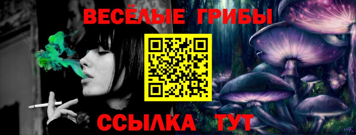 Славгород  Псилоцибиновые грибы мицелий  Вход с VPN 